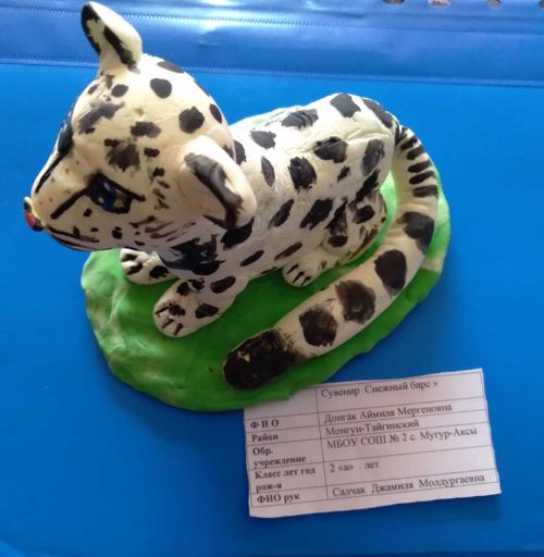 В Туве подвели итоги фестиваля «День снежного барса»