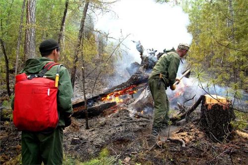 Пожарный прогноз 2022: В этом году в Туве могут вспыхнуть 73 лесных пожара