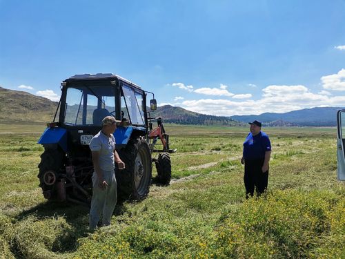 Чаа-Хөлде сиген кезилдези кидин-түлүк