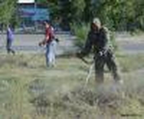 А в бурьяне обнаружили пакеты