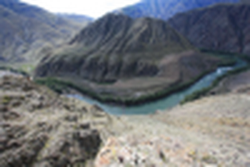 Подружила природа