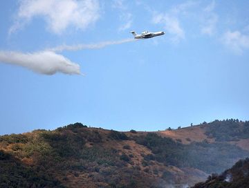 Тывада арга-арыг өрттериниң шөлү 2025 чылда ийи катап эвээжээн