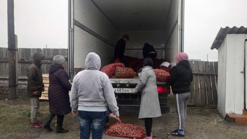 «Социальный картофель» доставили в Эрзинский район