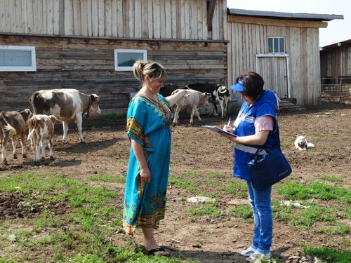 В Туве проходит сельскохозяйственная микроперепись