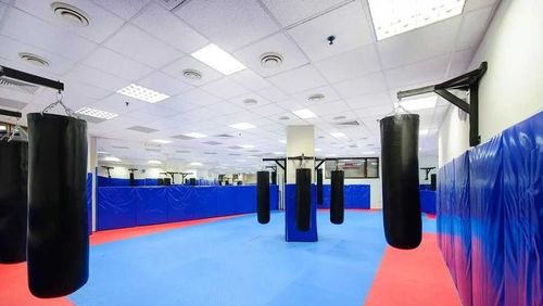 Центр спортивных единоборств в Чадане откроется в декабре