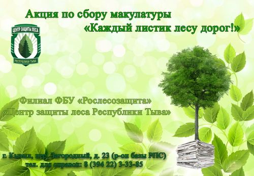 В  ТУВЕ ПРОДОЛЖАЕТСЯ АКЦИЯ «КАЖДЫЙ ЛИСТИК ЛЕСУ ДОРОГ»