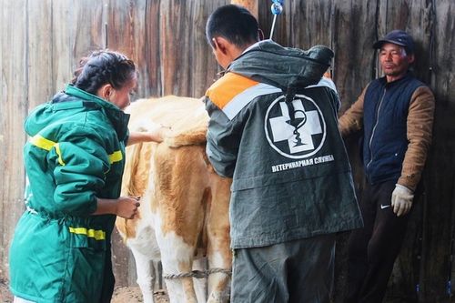 Үш кижиниӊ ажылын чааскаан кылып турар дээрзин эксперттер тодараткан