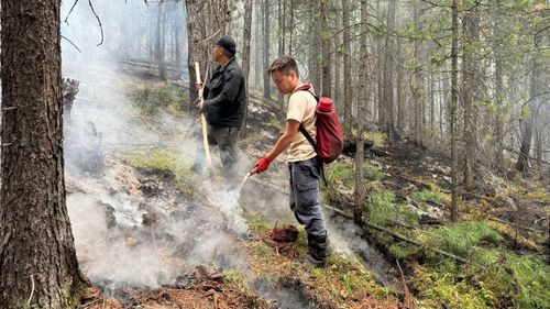 В Туве завершился пожароопасный сезон 2024 года