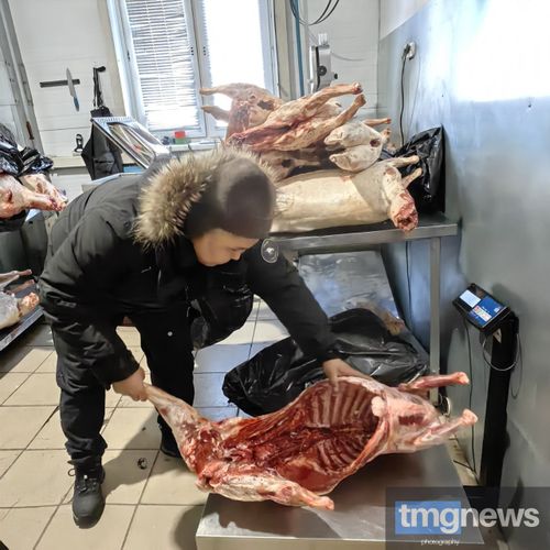 Жители Тувы продолжают помогать в сборе гуманитарной помощи для участников СВО