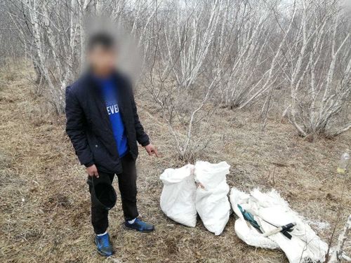 Школьник Тувы собрал почти 7 кг. марихуаны для личного употребления