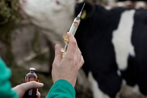 Айыылдыг халдавырга удур хемчеглер