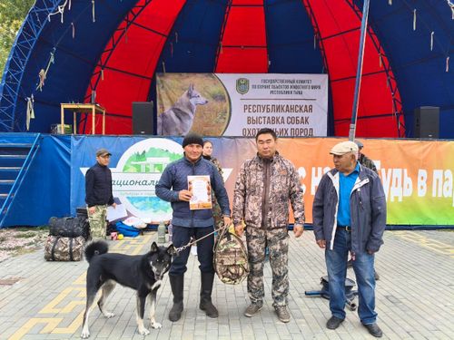Тува собрала лучших охотничьих собак на юбилейной выставке