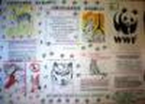 Яркий язык плаката