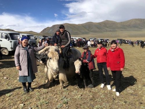В селе Кызыл-Хая Монгун-Тайгинского района Тувы прошёл фестиваль сарлыководов