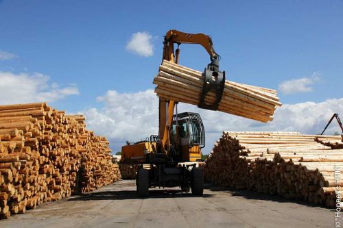 В Туве строят лесоперерабатывающий комплекс по программе индивидуального развития