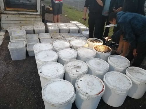 Тонну краснокнижного хариуса пытались вывезти из Тувы