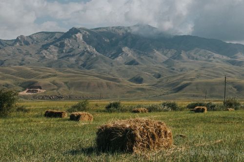 В Туве в разгаре кормозаготовка