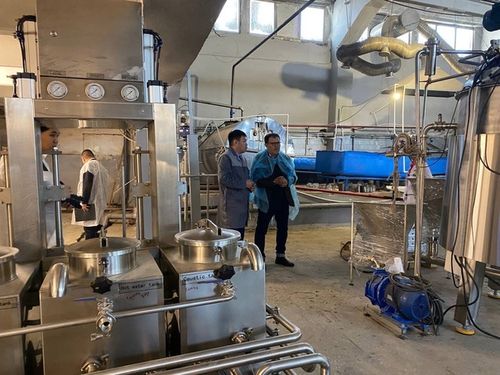 «Вавиол»: природные богатства Тувы на пользу людям