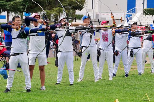 Программа чемпионата России по стрельбе из лука