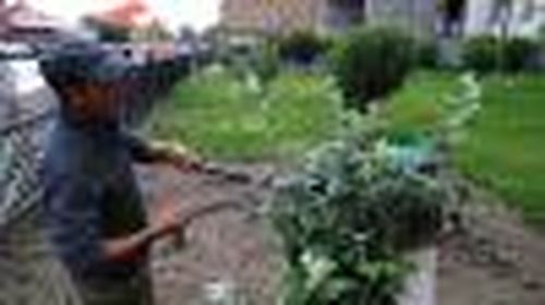 Не детский вопрос