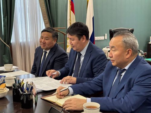 Глава Тувы обсудил с руководителем Рослесхоза ситуацию в лесном хозяйстве республики