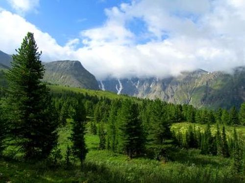 В Туве общая площадь ландшафтных пожаров составила более 1000 гектаров