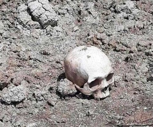 В Туве организована доследственная проверка по факту обнаружения человеческого черепа