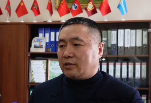 Төрээн чурту болгаш чону дээш