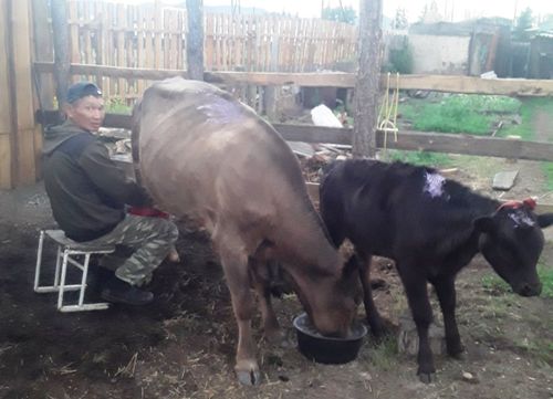 Аржаанда хууда дузалал ажыл-агый немешкен