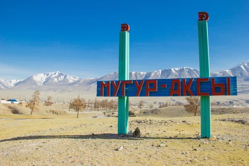 В селе Мугур-Аксы работает бригада для устранения последствий нарушения работы электроснабжения