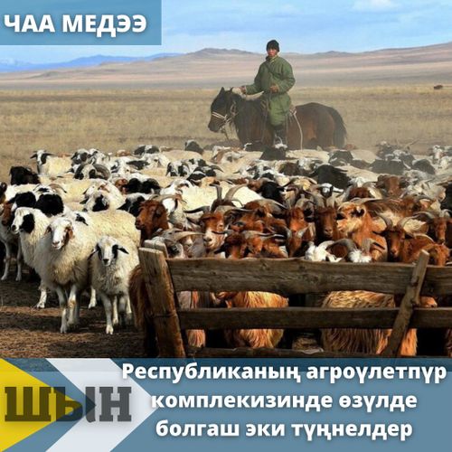 Республиканың агроүлетпүр комплекизинде өзүлде болгаш эки түңнелдер