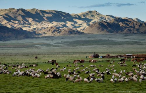 Информация   по Закону Республики Тыва от 17.05.2021 № 712-ЗРТ  «О внесении изменений в статью 2 Закона Республики Тыва «Об использовании официальных наименований Республики Тыва» и статью 12.9 Закона