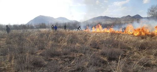 В Туве введен особый противопожарный режим