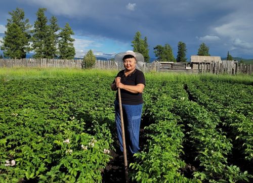 Идепкейлиг хөй-ниитижи