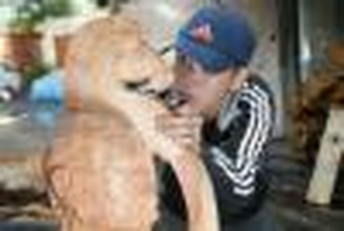 Я только учусь на волшебника