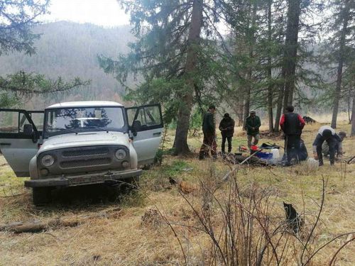 В Туве задержали браконьеров за ловлю «краснокнижной» рыбы и установку петель на кабаргу