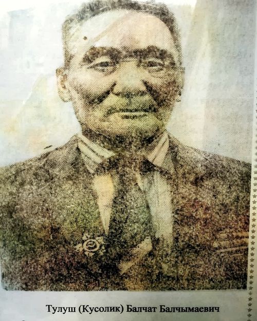 ДВЕ ВОЙНЫ БАЛЧАТА КУСОЛИКА