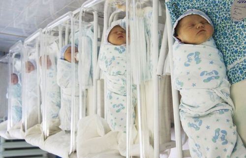 Тыва чаштар төрүттүнериниң талазы-биле Сибирьде мурнуку черде