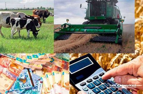 Тувинским аграриям проведут семинар представители «Агроконтроль»