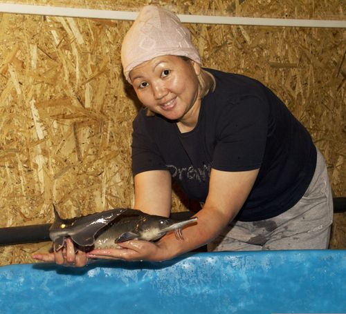 АКВАФЕРМА АЯНЫ МОНГУШ