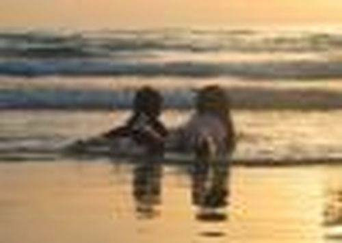 В Крыму отдохнули 596 детей из Тувы