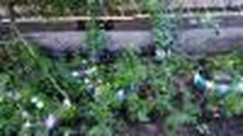 Счастливый конец эпопеи