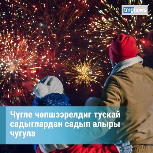 Чүгле чөпшээрелдиг тускай садыглардан садып алыры чугула