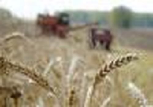 Вторая родина