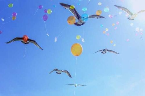 Отказаться от запуска воздушных шаров просит заповедник «Убсунурская котловина» 