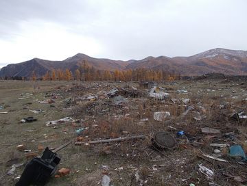 Контроль-хайгаарал органнарында