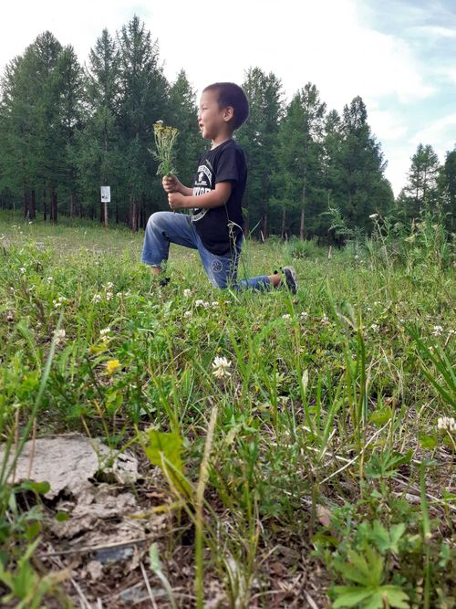 В Туве подведены итоги детского фотоконкурса «Лес – наше богатство!»