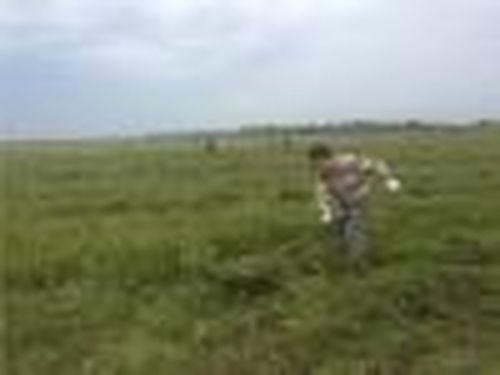 Провести второй укос