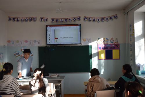 Преподаватели Тувы провели уроки для монгольских школьников