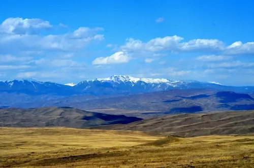 Родина в сердце